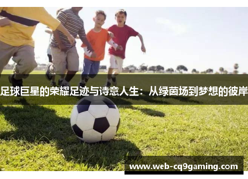 足球巨星的荣耀足迹与诗意人生：从绿茵场到梦想的彼岸