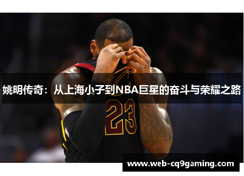 姚明传奇：从上海小子到NBA巨星的奋斗与荣耀之路