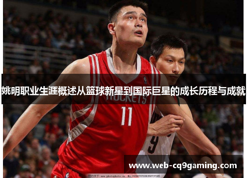 姚明职业生涯概述从篮球新星到国际巨星的成长历程与成就