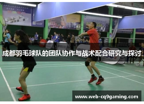 成都羽毛球队的团队协作与战术配合研究与探讨