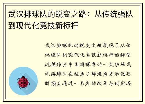 武汉排球队的蜕变之路：从传统强队到现代化竞技新标杆