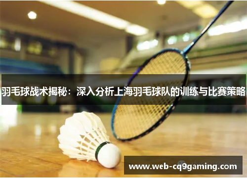 羽毛球战术揭秘：深入分析上海羽毛球队的训练与比赛策略