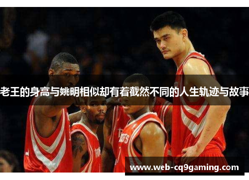老王的身高与姚明相似却有着截然不同的人生轨迹与故事