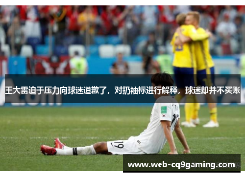 王大雷迫于压力向球迷道歉了，对扔袖标进行解释，球迷却并不买账